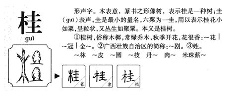 桂的造詞|桂字的意思